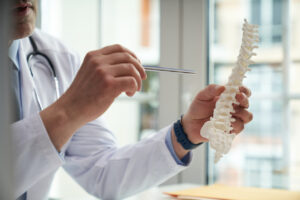 Parker Law Firm Injury Lawyers | Broken Bones The Anatomy of Your Skeleton
